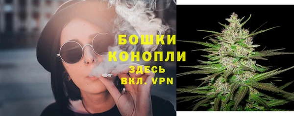 соль ск Зеленодольск