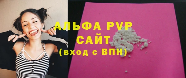 ECSTASY Инсар