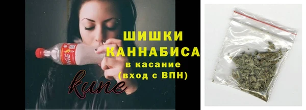 соль ск Зеленодольск