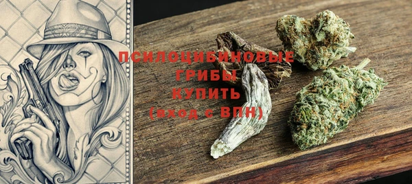 соль ск Зеленодольск