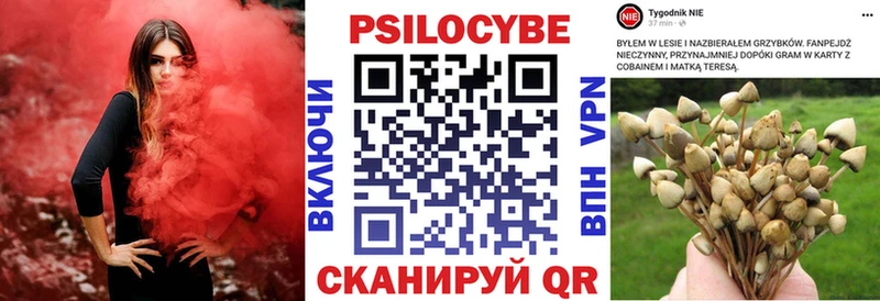 Псилоцибиновые грибы MAGIC MUSHROOMS  Купить закладки  Ковылкино 